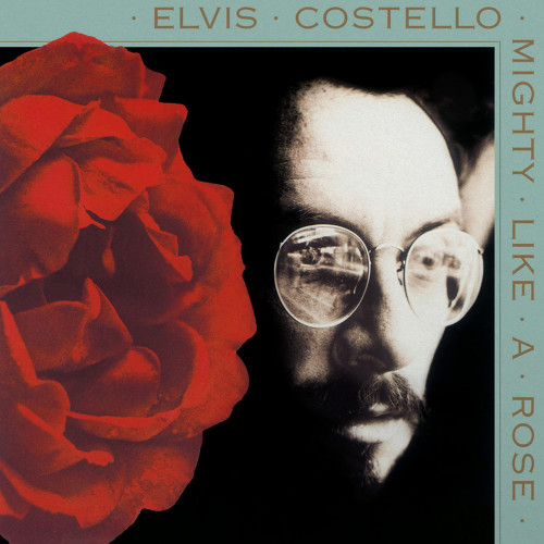 Elvis Costello