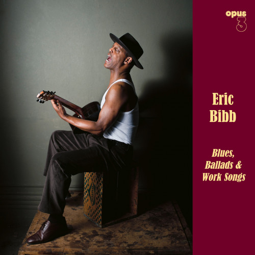 Eric Bibb