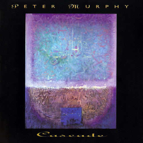 Peter Murphy