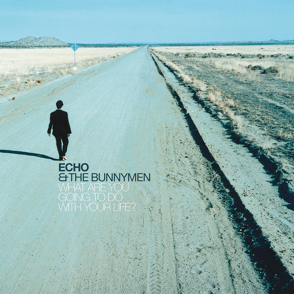 Echo And The Bunnymen